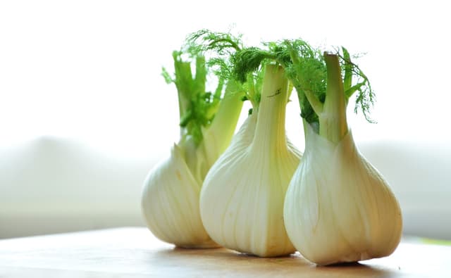 fennel root