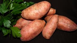 Sweet Potato
