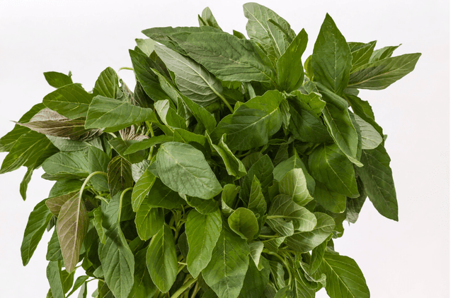 amaranth leaves
